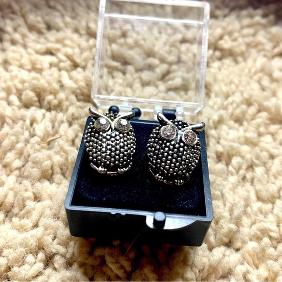 Jewelry - IRON Alloy Owl Earrings w rhinestone eyes 😻